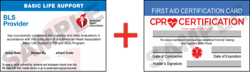 Sample American Heart Association AHA BLS CPR Card Certificaiton and First Aid Certification Card from CPR Certification Providence