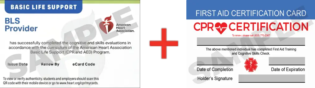 Sample American Heart Association AHA BLS CPR Card Certification and First Aid Certification Card from CPR Certification Providence